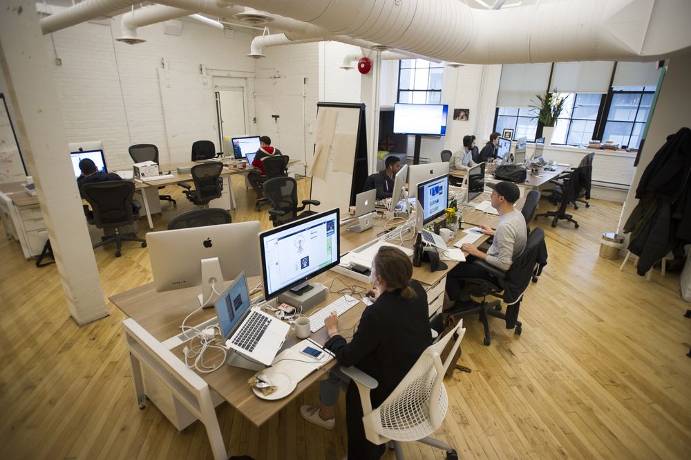 1595015432646035439.jpg 1000x-1.jpg